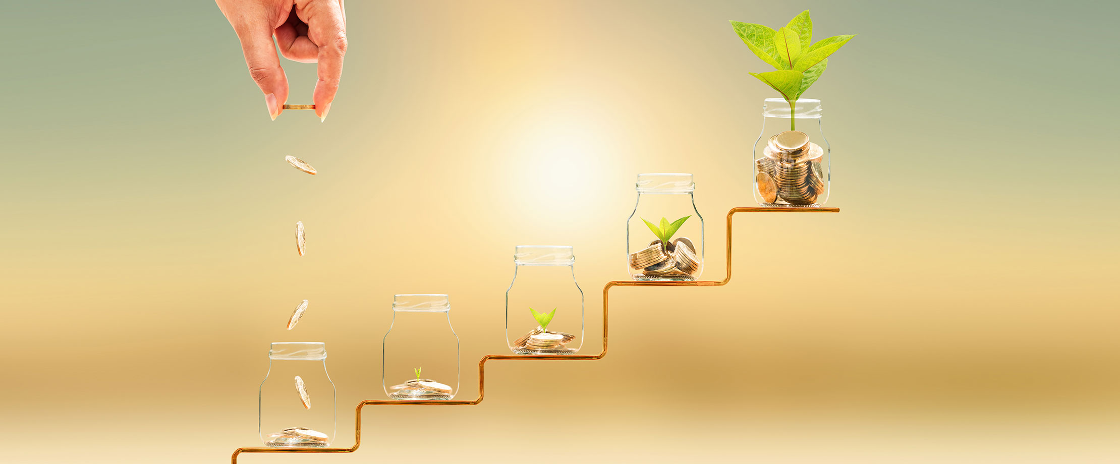 Unsere Dienstleistungen